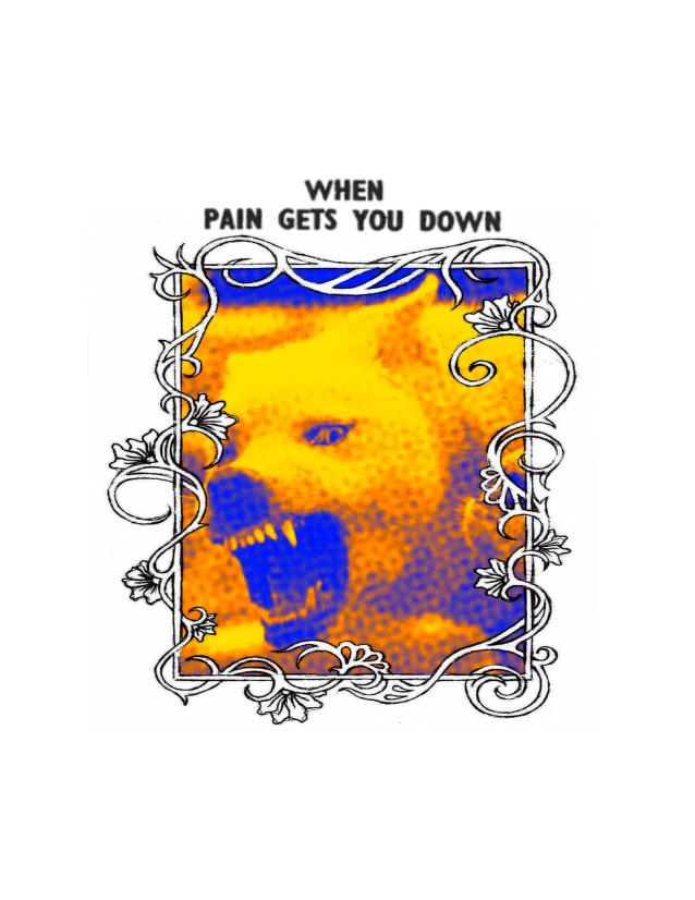 book cover of When Pain Gets You Down